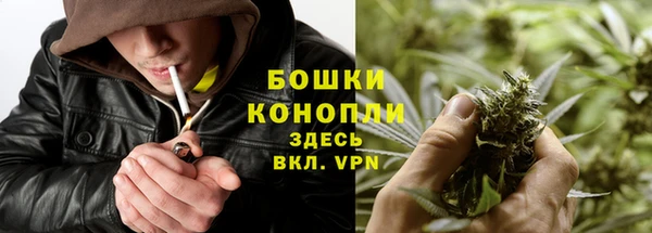 бошки Алзамай