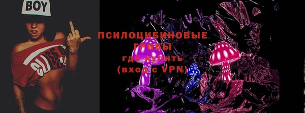 метадон Алексин