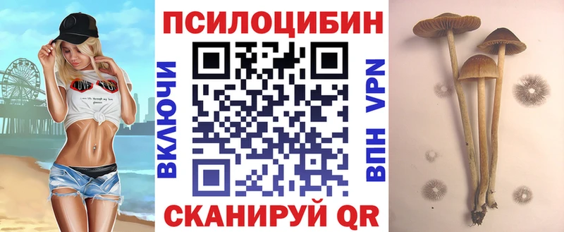 Псилоцибиновые грибы Psilocybine cubensis  МЕГА зеркало  Каменск-Уральский 