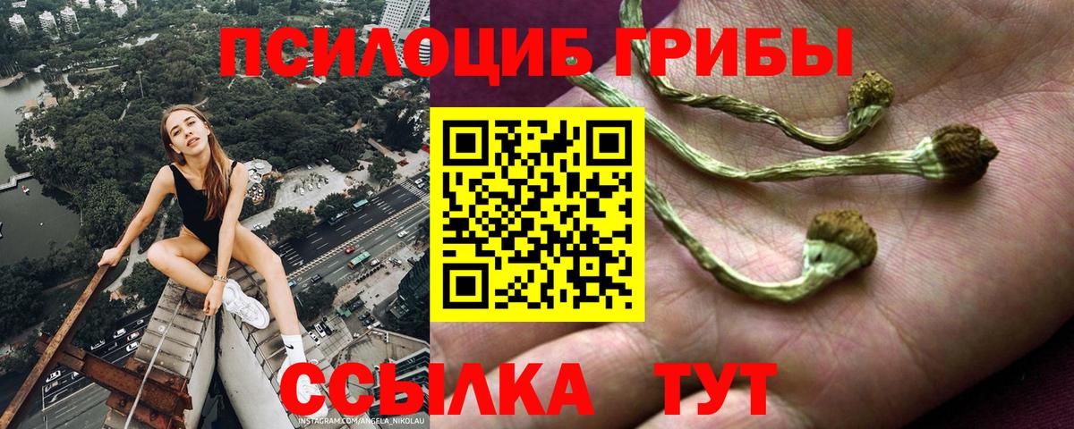 Галлюциногенные грибы ЛСД  Галлюциногенные грибы GOLDEN TEACHER  Вход с VPN  Каменск-Уральский 
